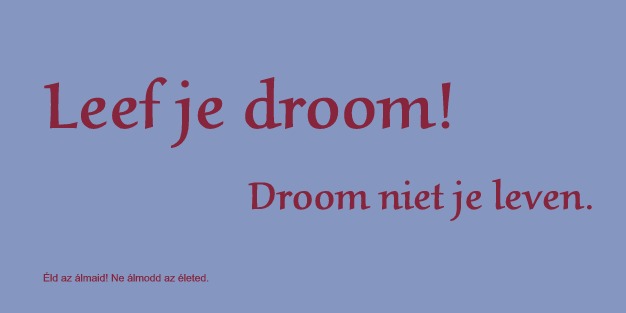 Leef je droom droom niet je leven lavendel achtergrond rode letters